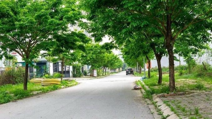 hinh-anh-dep-tai-du-an-khu-do-thi-thanh-ha-cienco5-6-1